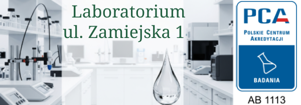 Zamiejska